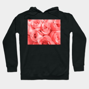 Pink roses in pastel pantone 2019 living coral Hoodie